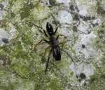 9986 �A���O��B.JPG