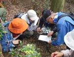 DSCN4389 - 観察2.JPG