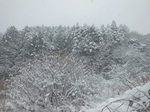 DSCN6400 - 周囲.JPG