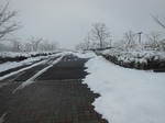 DSCN6476.JPG