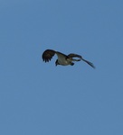 DSCN7490 - �R�s�[.JPG