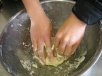 DSCN7934.jpg