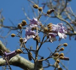 DSCN7956 - �L��.JPG