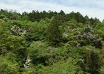 DSCN9391 - Rikj.JPG
