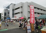 IMG_6066.JPG