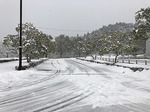 センター入口道路.jpg