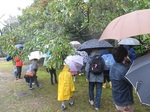 屋外.jpg
