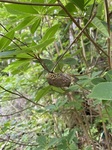 IMG_0183.JPG
