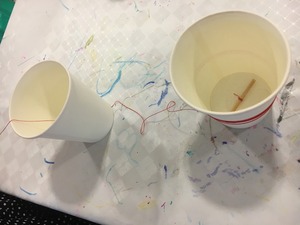 IMG_0185.jpg