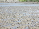 IMG_2576.JPG
