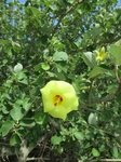 IMG_2604.JPG