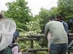 IMG_2766 - ウツギ(縮).JPG