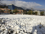 IMG_3357.jpg