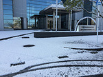IMG_3358.jpg