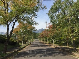 IMG_5987 縮小.jpg