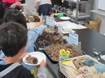 IMG_7667.JPG