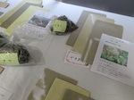 IMG_8375.JPG