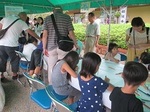 IMG_9279.JPG