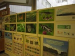 IMG_9713.JPG