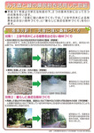 P4みえ森と緑の県民税を活用した取組.jpg