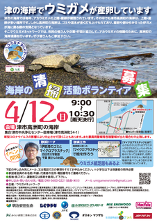 ウミガメちらし.png
