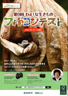 フォトコンテスト.png