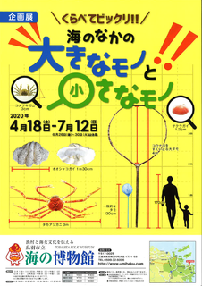 海の博物館.png