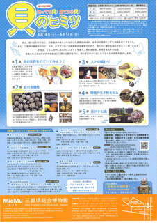 貝のヒミツ2.jpg