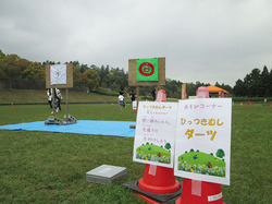 11.JPG