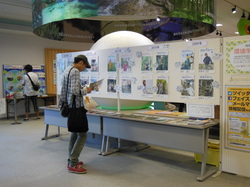 DSCN0392.JPG