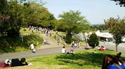牧場.jpg