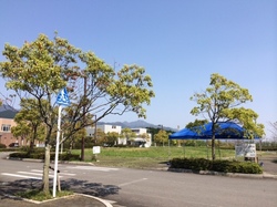 image (2).jpeg
